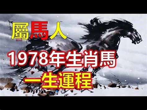 1978屬馬的女人2023|【1978屬馬2023年運程】1978屬馬人2023年驚天運程大公開！好。